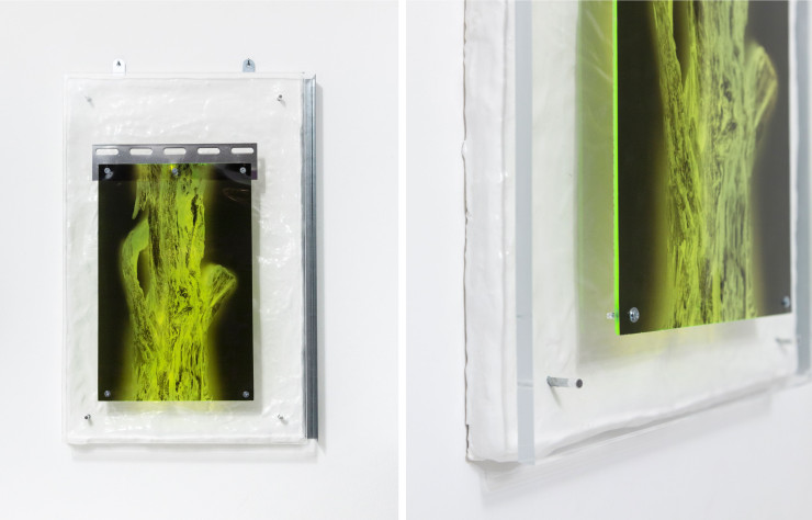 Sous son apparence de radiographie mise en vitrine, l’oeuvre Étude 2.33_1 d’Esther Michaud questionne les interaction des comportements naturels et humains.