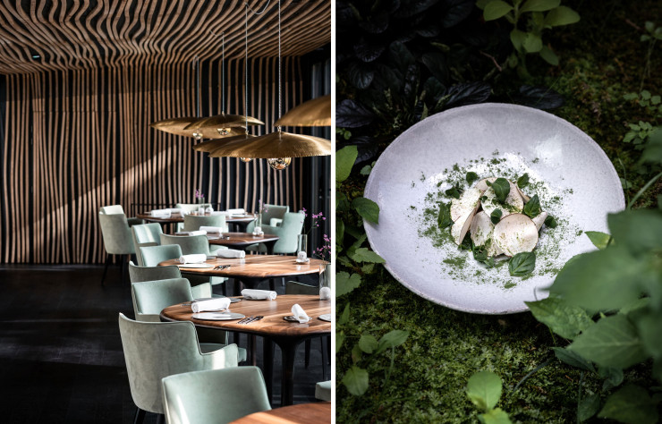 Salle du restaurant gastronomique Maison Aribert et plat à déguster lors d’un séjour à la Maison du chef