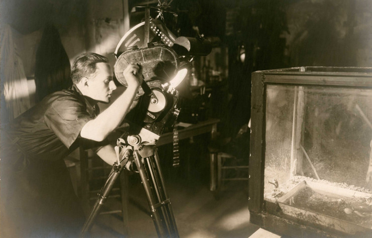 Jean Painlevé à l’oeuvre. Face à sa caméra se trouve un aquarium dans lequel il reconstitue fidèlement l’environnement des espèces qu’il filme.