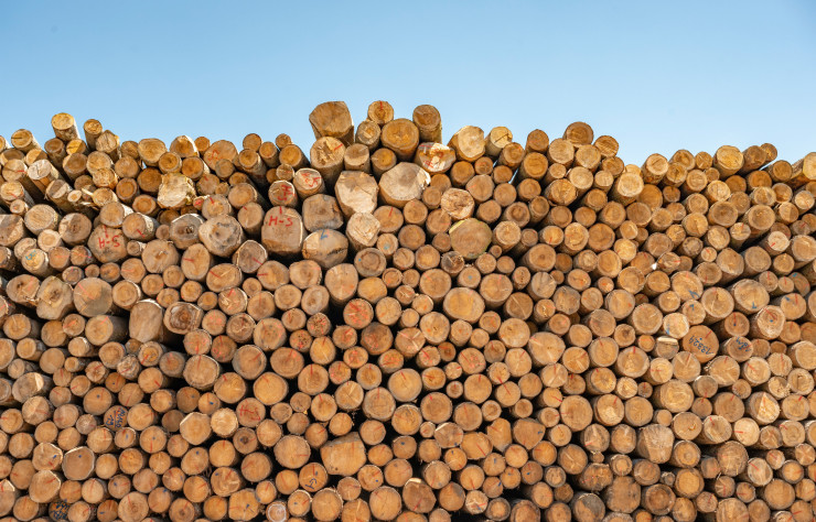 Ressource locale présente en abondance dans la région, le bois est logiquement utilisé massivement dans la construction, même si les architectes ne s’interdisent pas d’employer, avec parcimonie, d’autres matériaux comme le béton. L’industrie forestière a permis au Vorarlberg de devenir un laboratoire de l’architecture durable à l’échelle mondiale.