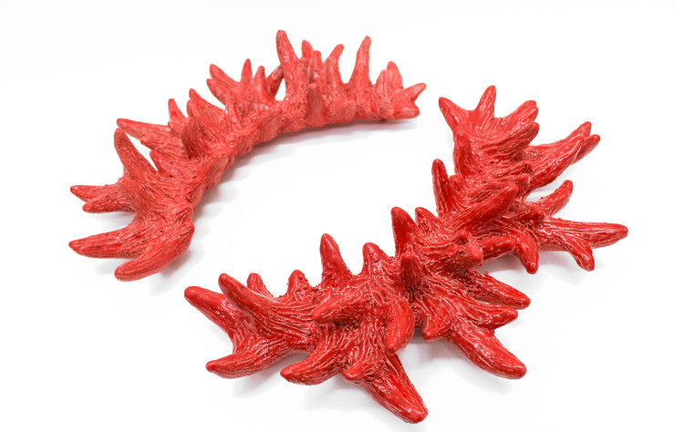 Gills n°1 par Elsa Guillaume, galerie Backlash