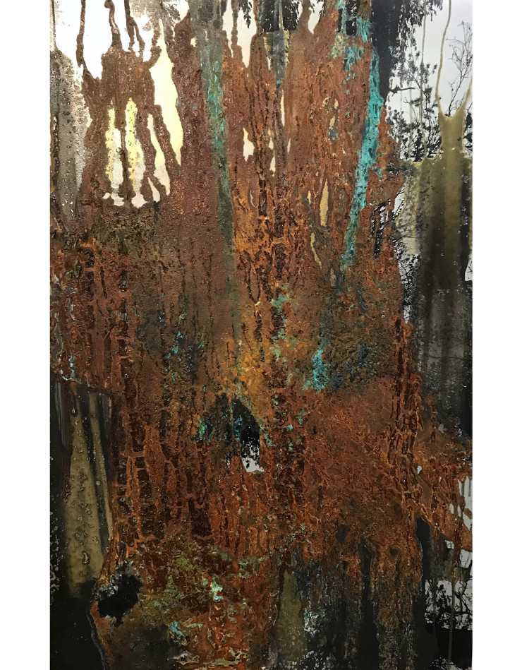 Paysages d’outre-cîmes par Lionel Sabatté, galerie 8+4