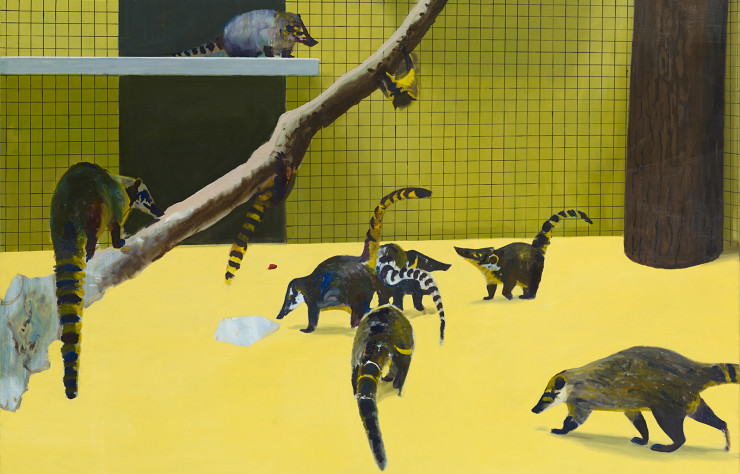 Coatis jaunes par Gilles Aillaud (1982), galerie Loevenbruck