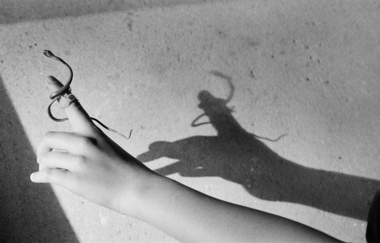 1. Katinka Bock, Some and any fleeting, 2022, Tirage gélatino-argentique, Courtesy : Katinka Bock ; Galerie Jocelyn Wolff, Romainville ; Meyer Riegger Berlin / Karlsruhe ; Galerie Greta Meert, Bruxelles ; 303 Gallery, New York