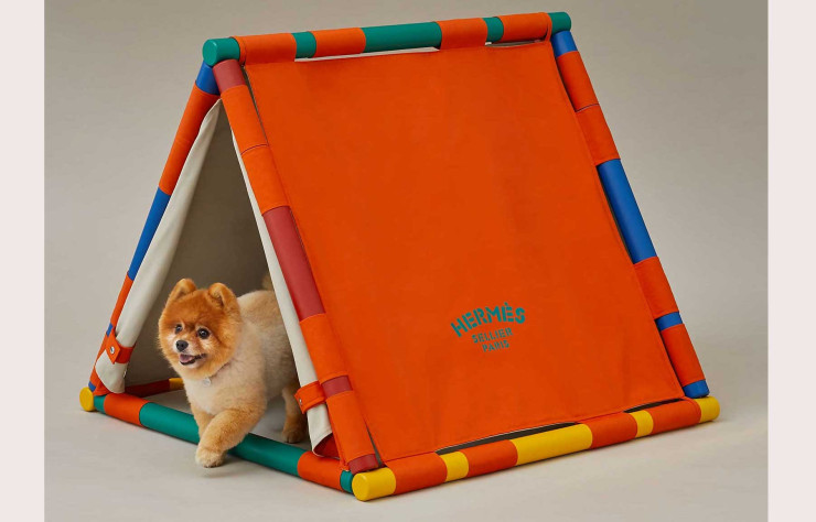 Tente pour chien Hermès