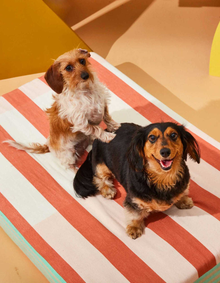 Lit pour chiens Minna
