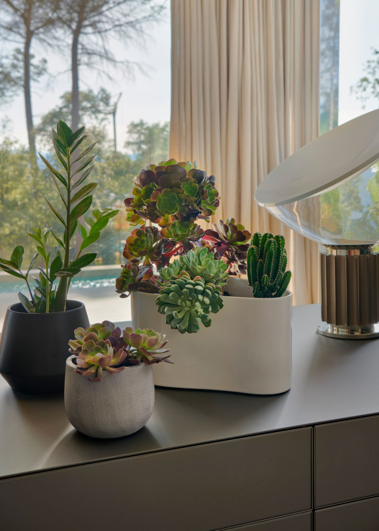 Sur la commode de la chambre principale, un trio de pots en céramique remplis de succulentes jouxte une lampe Taccia, d’Achille et Pier Giacomo Castiglioni (1962, Flos).