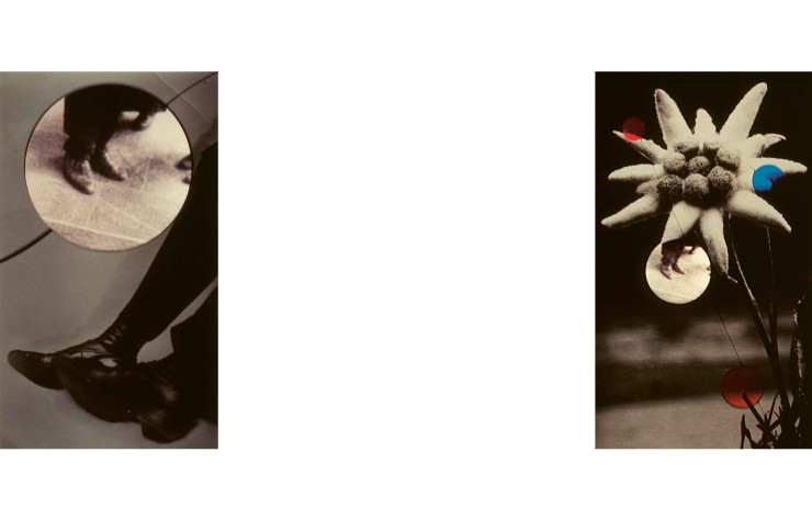 Issue du film « Geography Biography » qui donne son nom à l’exposition, cette composition mêle différentes images qui rendent compte de la capacité du médium cinématographique à recréer des souvenirs.