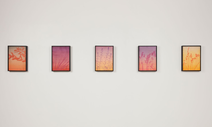 Installées de la sorte à la galerie Ketabi-Bourdet, les oeuvres de Clément Davout offrent une palette de couleurs semblables à celle des couchers du soleil.