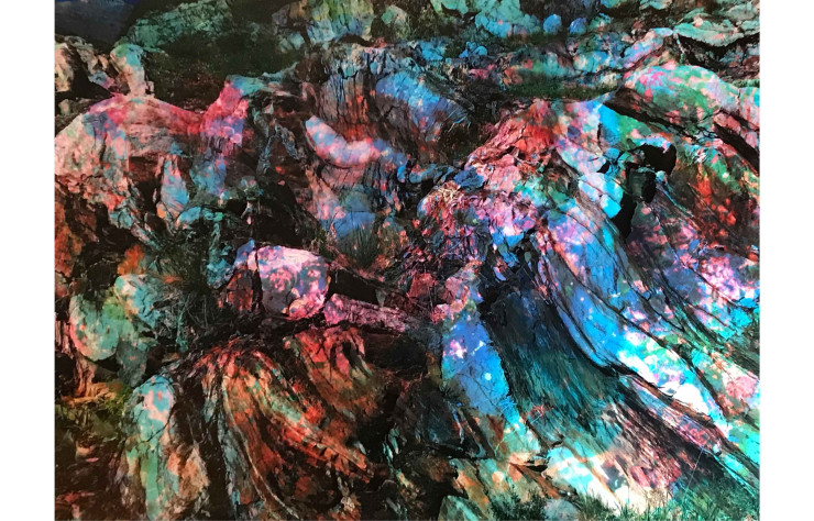 Comme dans la plupart de ses oeuvres, Maya Rochat applique des modifications à l’image qu’elle capture. Cameleon Stone évoque justement les transformations et métamorphoses par les couleurs.