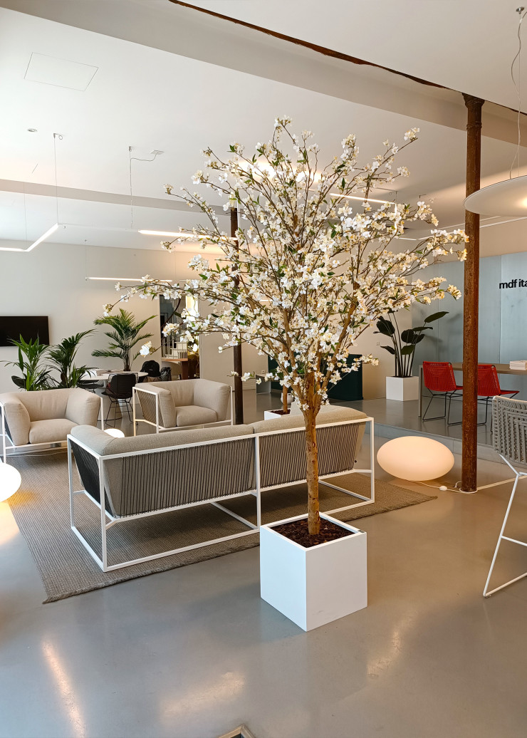 Vue du showroom de Moda International.