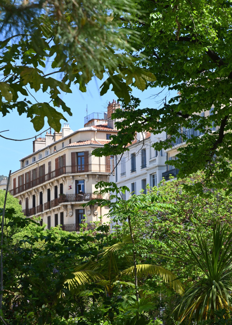Certains arbres du jardin Alexandre-Ier ont été plantés au XVIIe siècle !