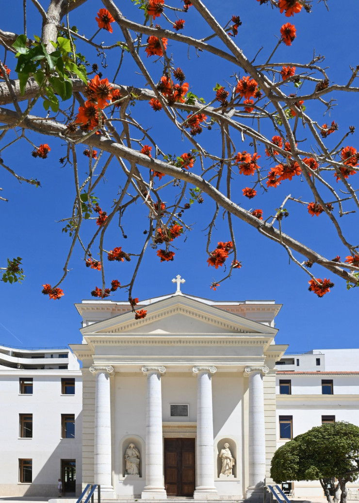 La médiathèque – d’anciens hospices – ouvre sur le jardin Alexandre-Ier. Le lieu fait partie du nouvel écoquartier Chalucet, réalisé par l’architecte Corinne Vezzoni.
