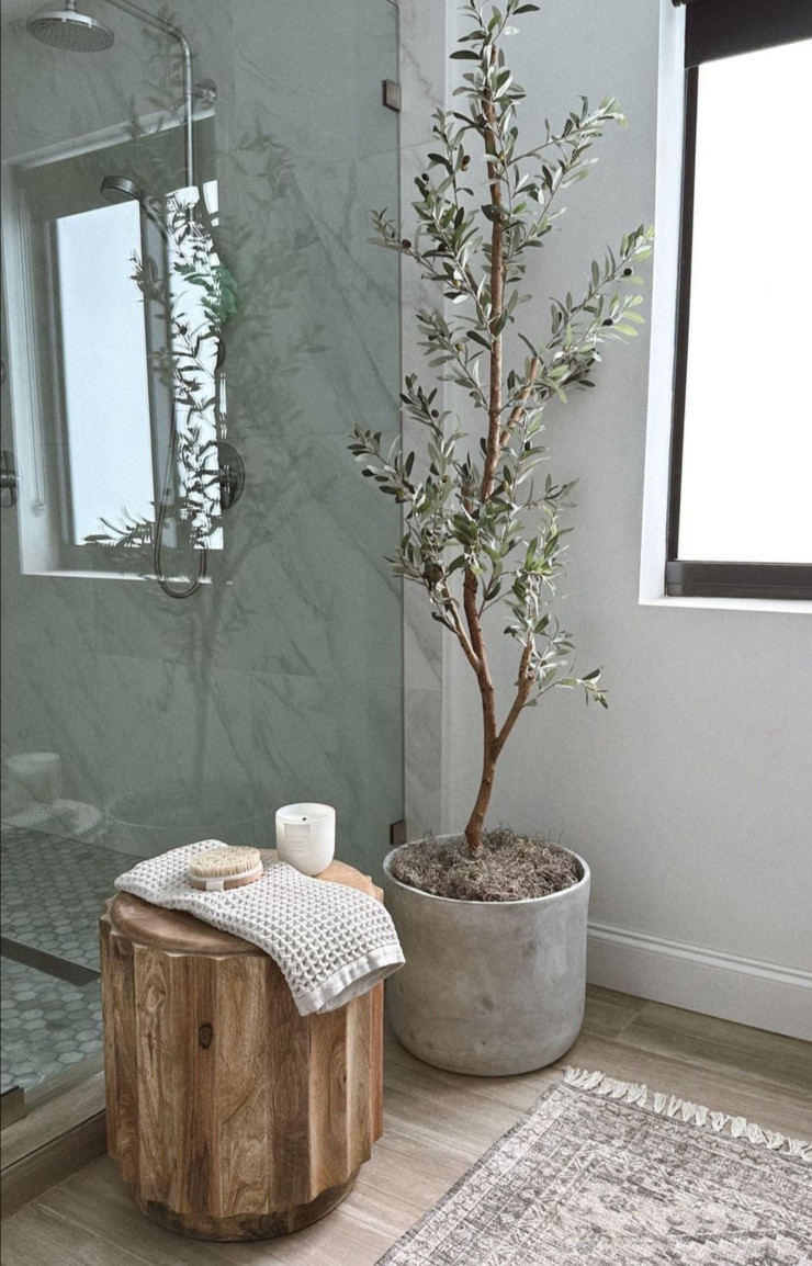 Aviez-vous pensé à verdir la déco de votre salle de bain grâce à un olivier ?