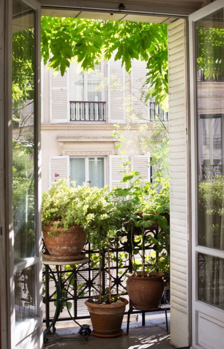 Le jasmin blanc embaumera votre maison dès le mois de mai.