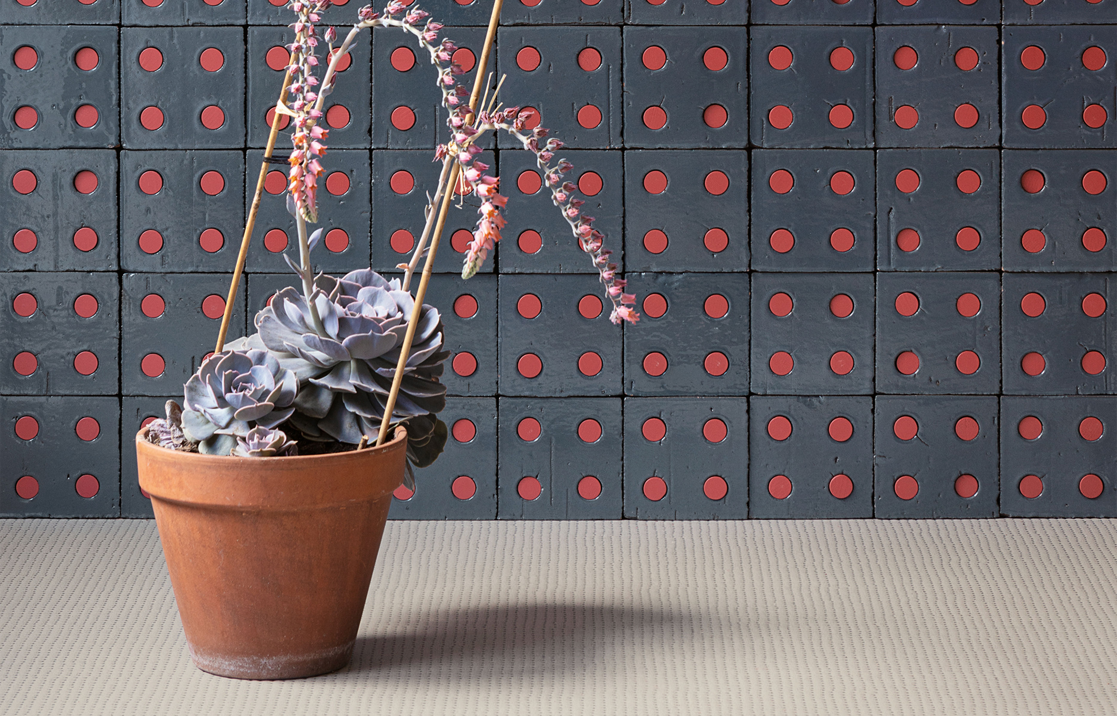 tendance-carrelage-1